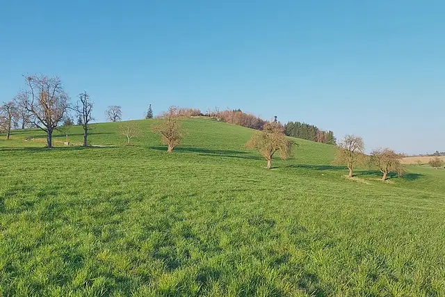 Hochberg – Aussichtspunkt, 9 km von Wangen
