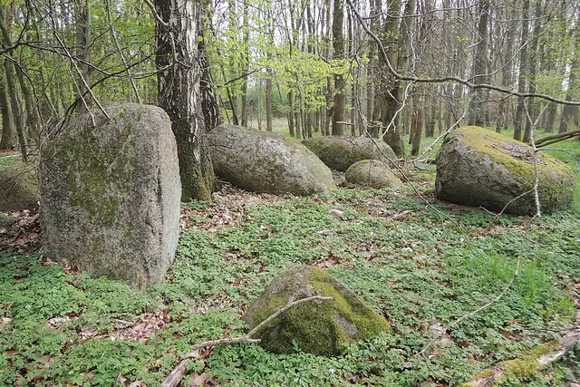 Großsteingrab Alt Stassow 4 – Megalith, 25 km von Ribnitz-Damgarten