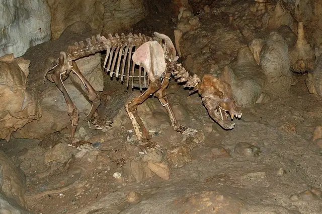 Karls- und Bärenhöhle – Höhle, 10 km von Pfullingen