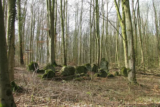 Lautariusgrab – Megalith, 16 km von Kassel