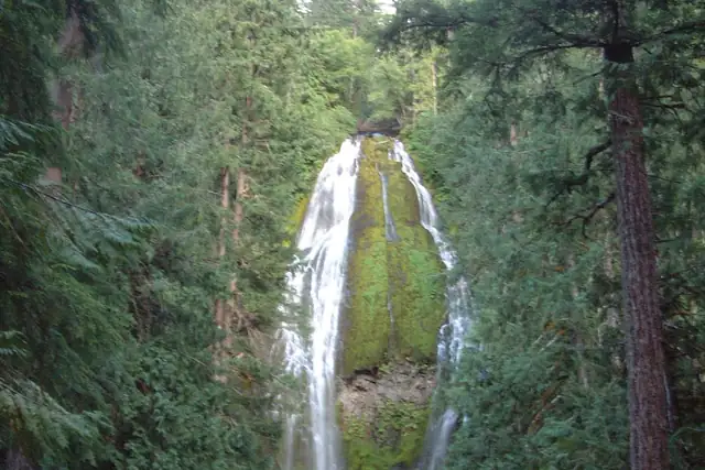 Proxy Falls – Wasserfall