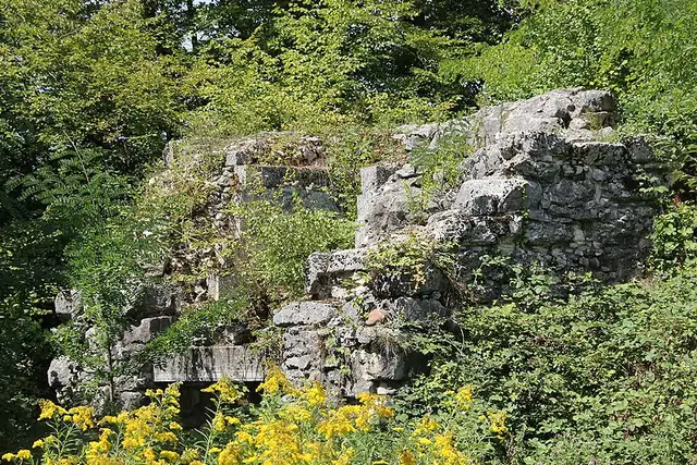 Ruine Göskon – Burg oder Schloss, bei Olten