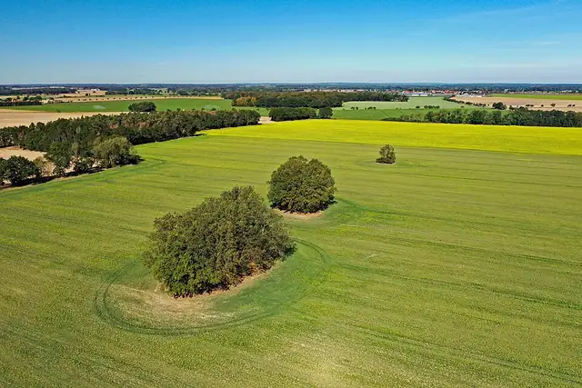 Großsteingrab Leetze 2 – Megalith, 12 km von Hansestadt Salzwedel