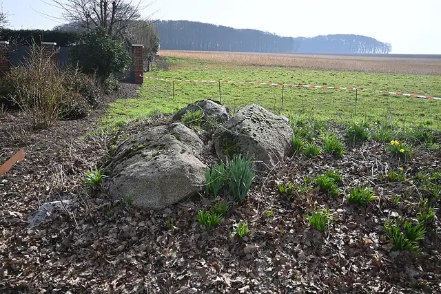 Großsteingrab Westerkappeln – Megalith, 9 km von Wallenhorst