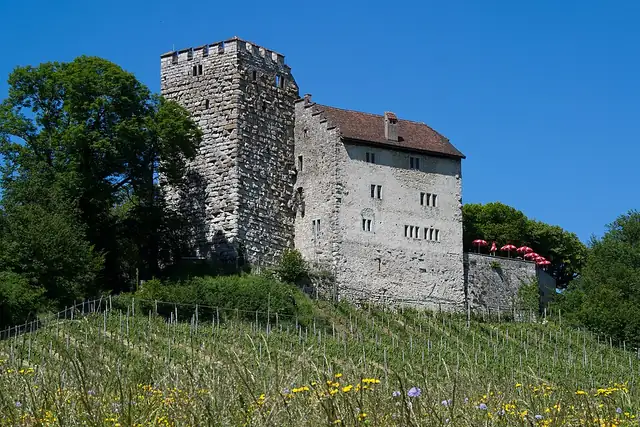 Habsburg – Burg oder Schloss, 9 km von Baden