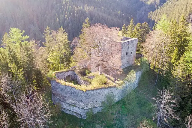 Ruine Hauenstein – Burg oder Schloss